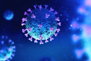 shutterstock_1643947495