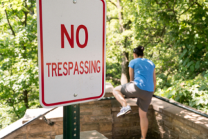 shutterstock_1155040546