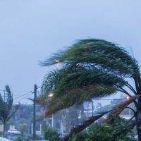 Hurricane_Windy Hurricane_Windy